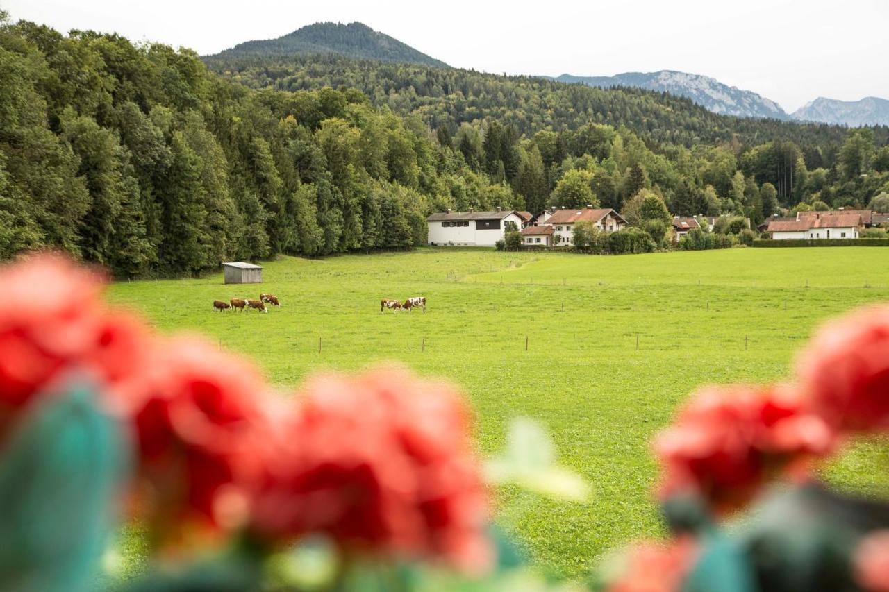 Ferienwohnungen Am Alpenrand Siegsdorf Buitenkant foto