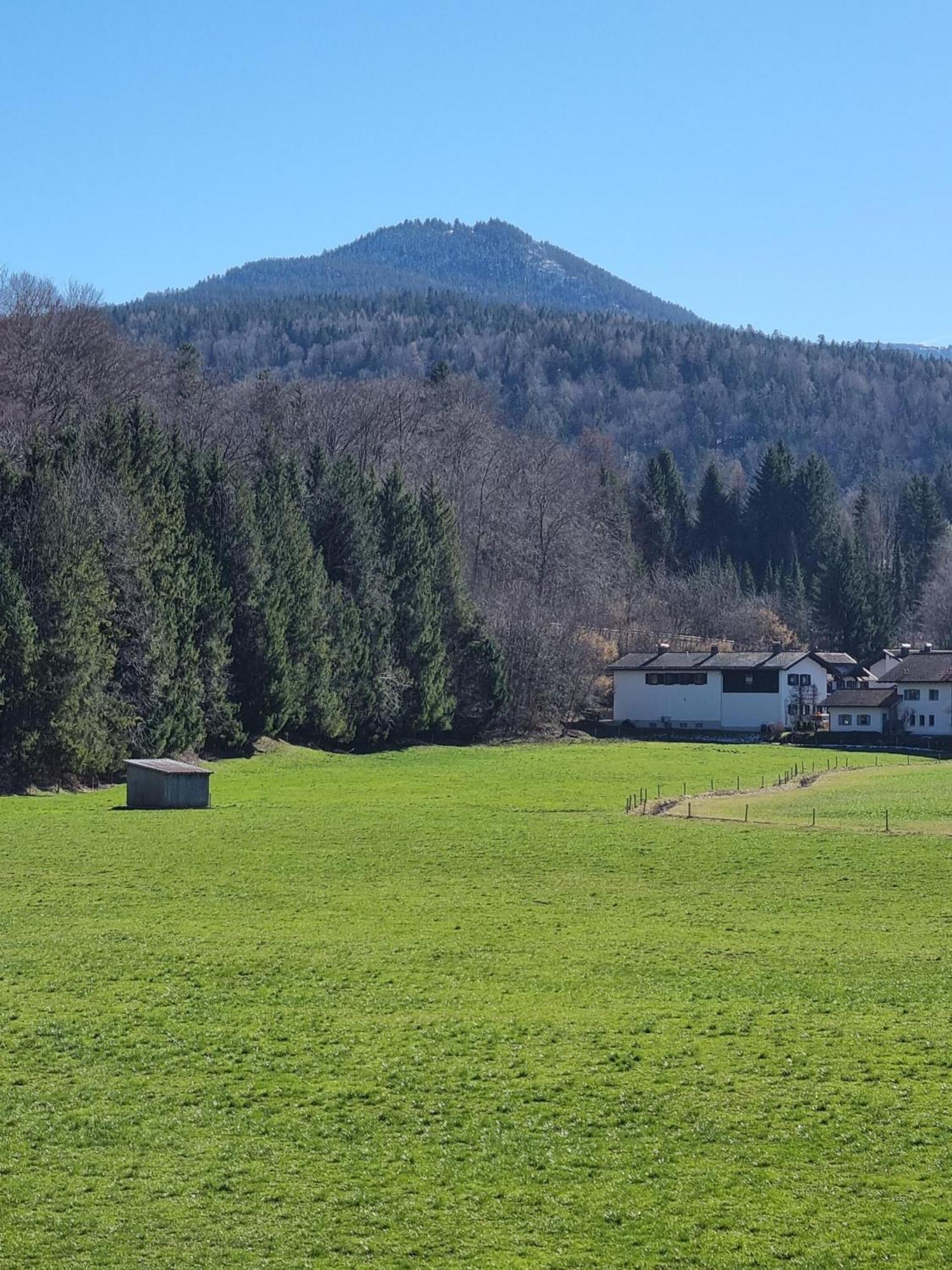 Ferienwohnungen Am Alpenrand Siegsdorf Buitenkant foto